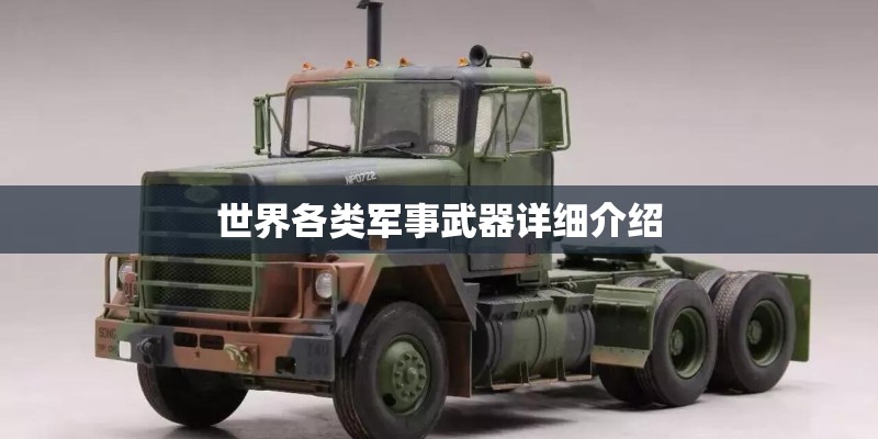 大班教案