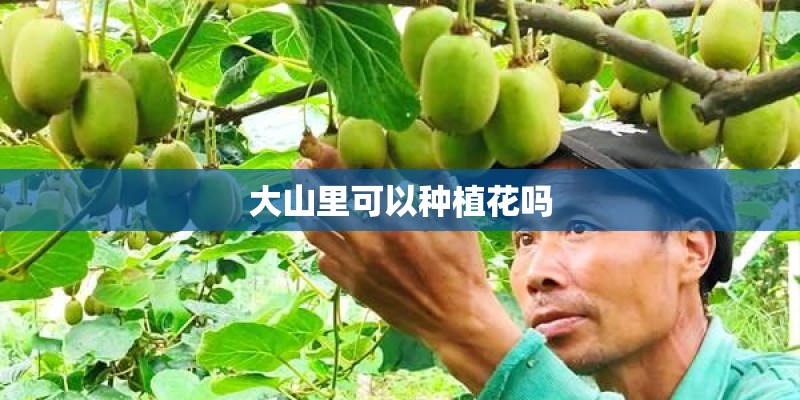大山里可以种植花吗