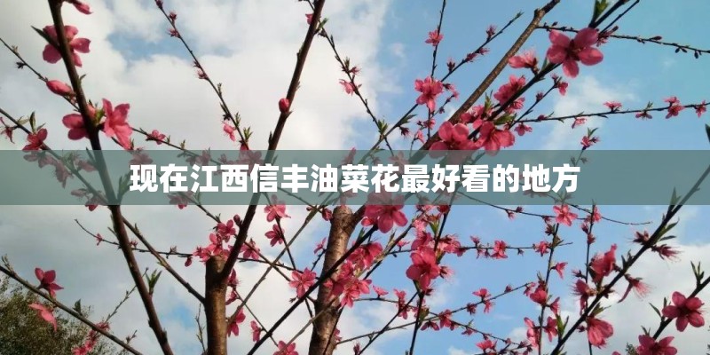 彩铅（3）让人垂涎欲滴的车厘子