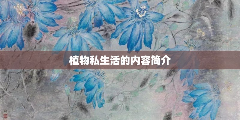 大班教案