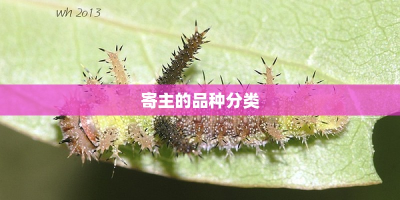 寄主的品种分类