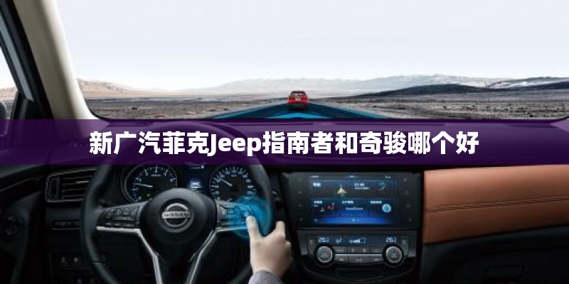 大班教案