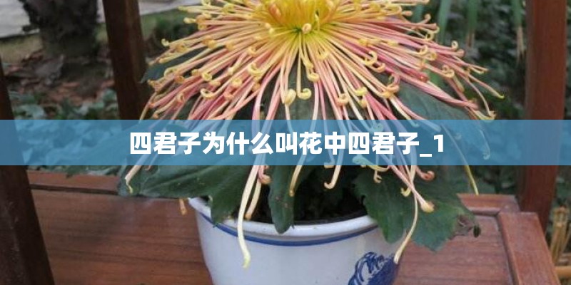 不给槟榔树钱,就砍人家的槟榔违法吗-