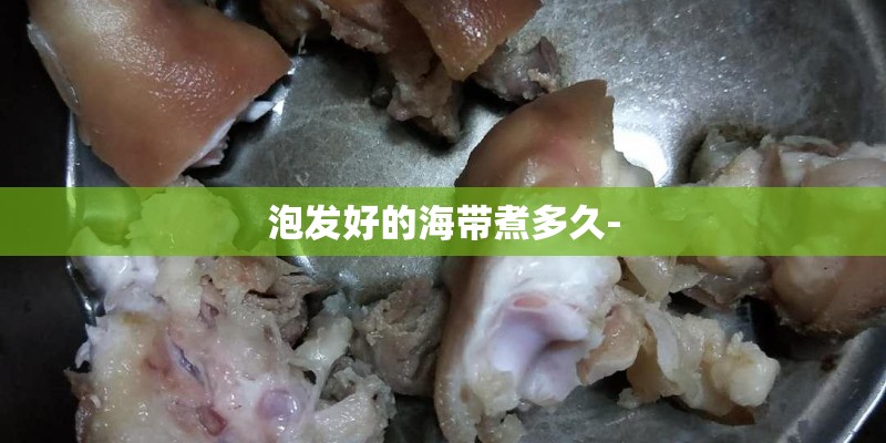玫瑰花怎么养