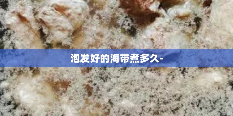 泡发好的海带煮多久-