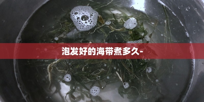 泡发好的海带煮多久-