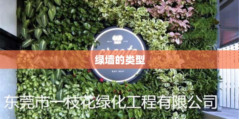 黑果花秋果在网上能买吗