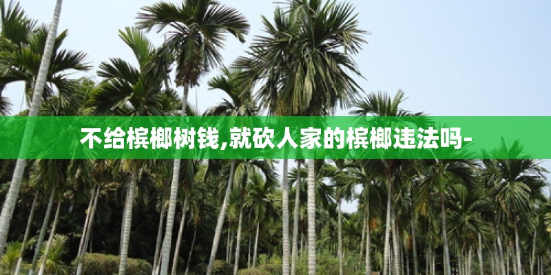 不给槟榔树钱,就砍人家的槟榔违法吗-