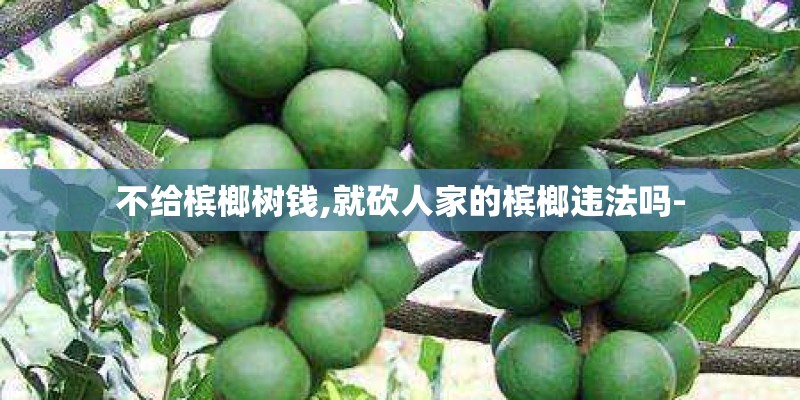 不给槟榔树钱,就砍人家的槟榔违法吗-
