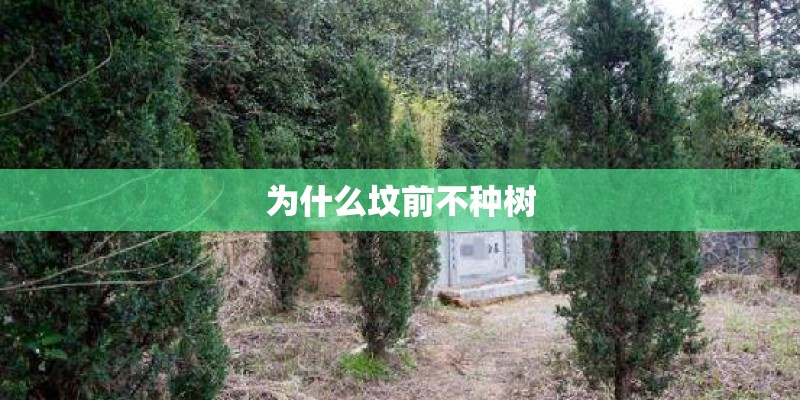不给槟榔树钱,就砍人家的槟榔违法吗-