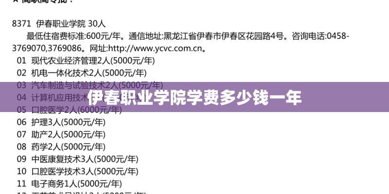 大班教案