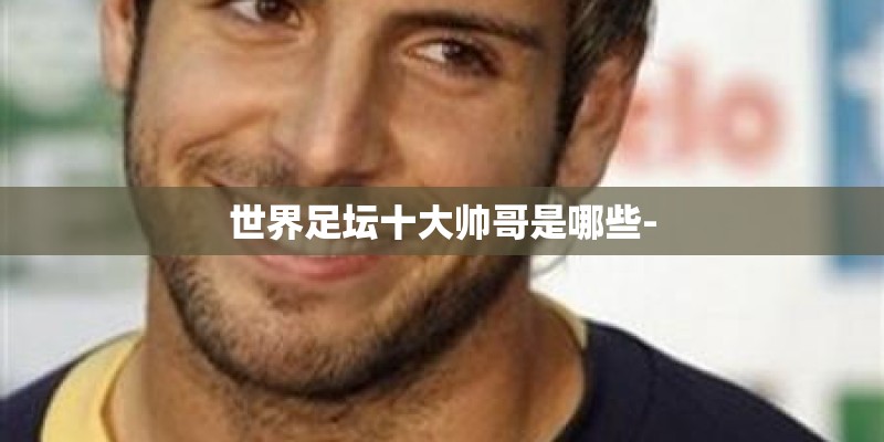 世界足坛十大帅哥是哪些-