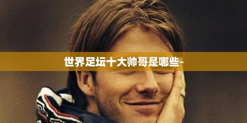 世界足坛十大帅哥是哪些-