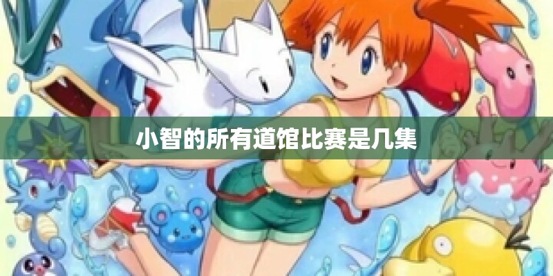小智的所有道馆比赛是几集