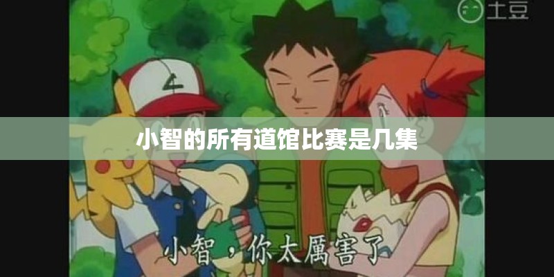 小智的所有道馆比赛是几集