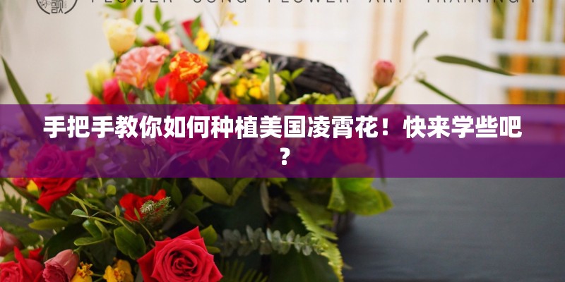 手把手教你如何种植美国凌霄花！快来学些吧？