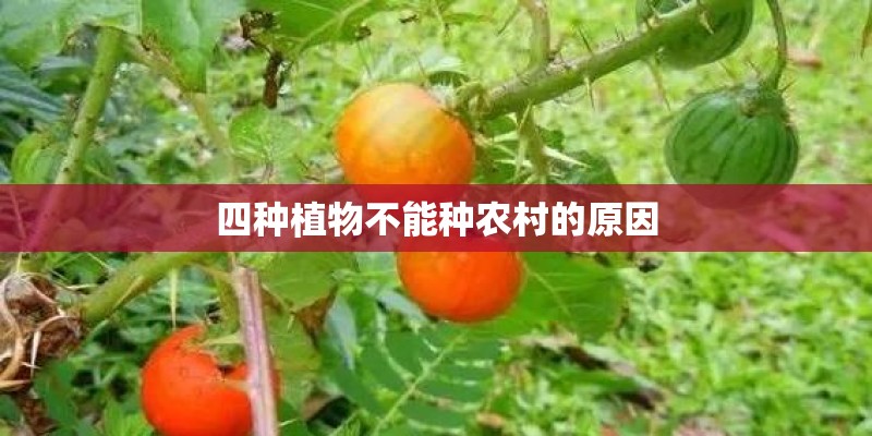 水利工程EI期刊有哪些-