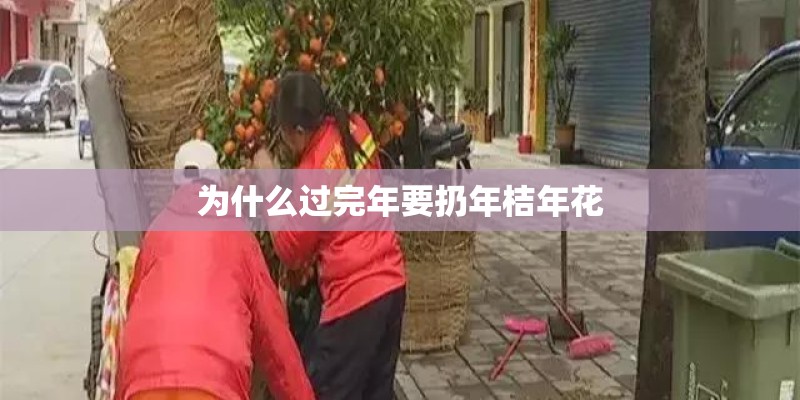 为什么过完年要扔年桔年花