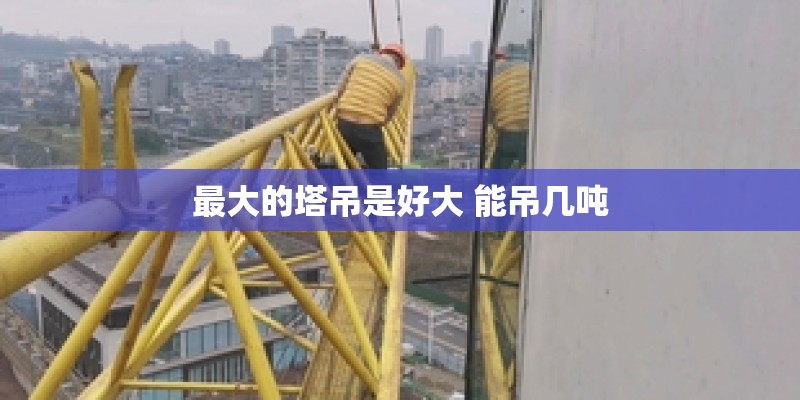 最大的塔吊是好大 能吊几吨