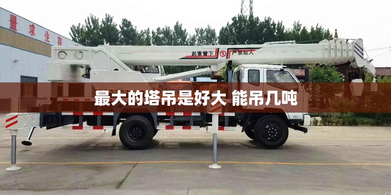 最大的塔吊是好大 能吊几吨