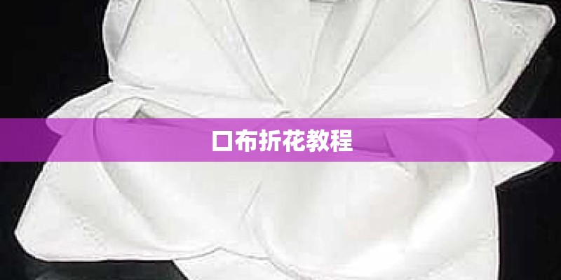 口布折花教程