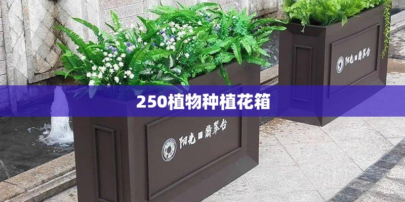 250植物种植花箱