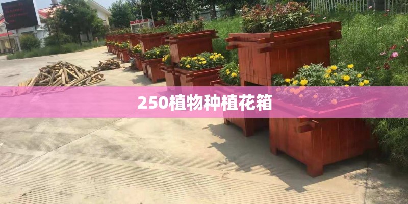 核心期刊