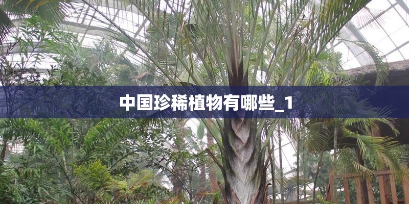 中国珍稀植物有哪些_1