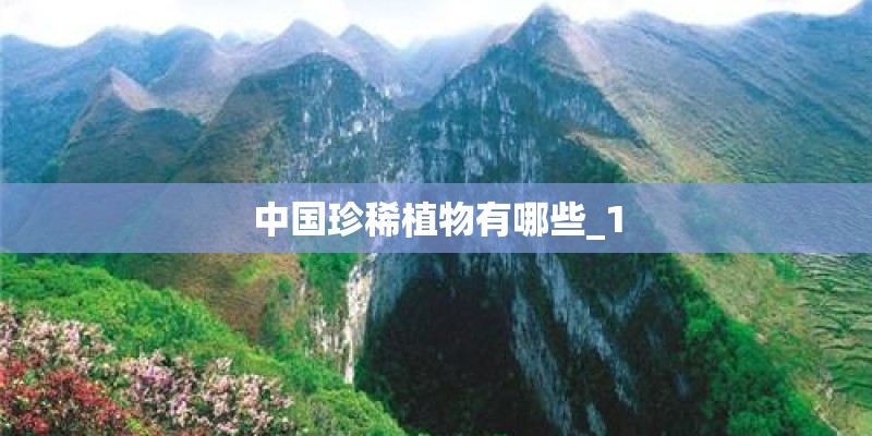 中国珍稀植物有哪些_1