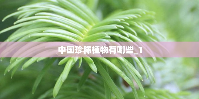 中国珍稀植物有哪些_1