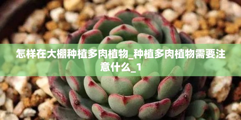 球墨铸铁管件生产厂家