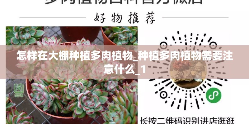怎样在大棚种植多肉植物_种植多肉植物需要注意什么_1