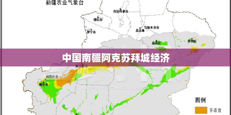 中国南疆阿克苏拜城经济