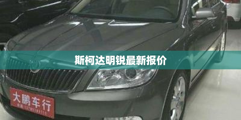 怎样在大棚种植多肉植物_种植多肉植物需要注意什么_1