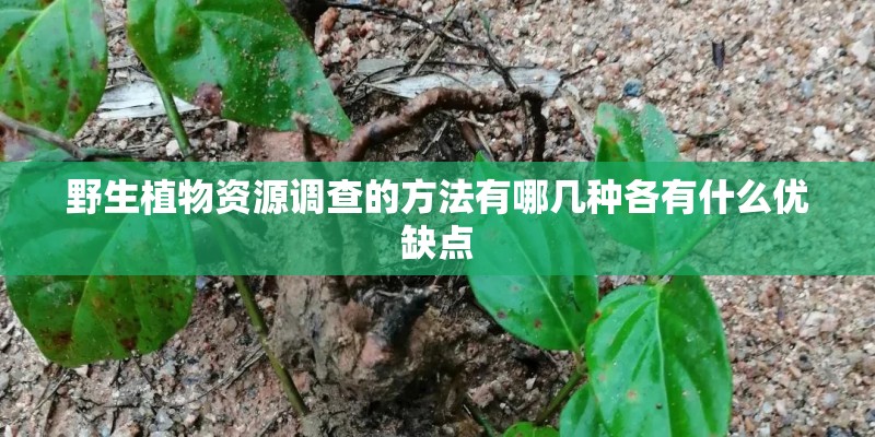 野生植物资源调查的方法有哪几种各有什么优缺点