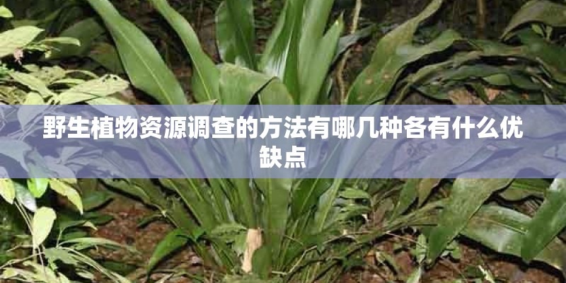 野生植物资源调查的方法有哪几种各有什么优缺点