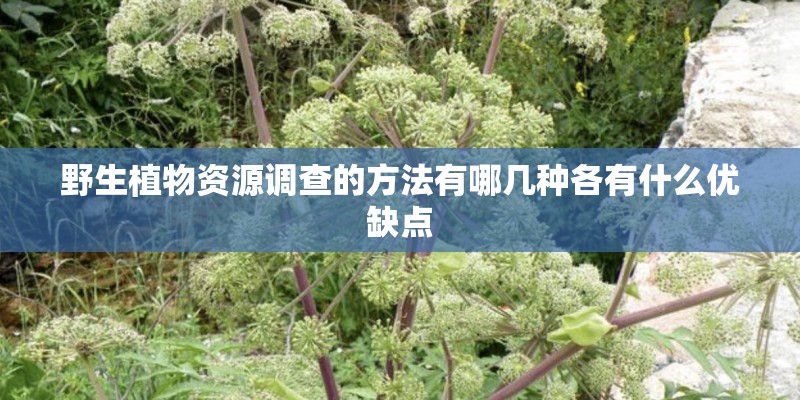 野生植物资源调查的方法有哪几种各有什么优缺点