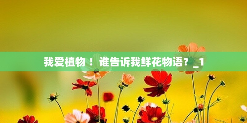 大型活动策划