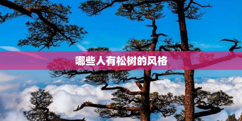哪些人有松树的风格
