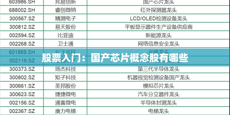 股票入门:国产芯片概念股有哪些 股票入门:国产芯片概念股有哪些