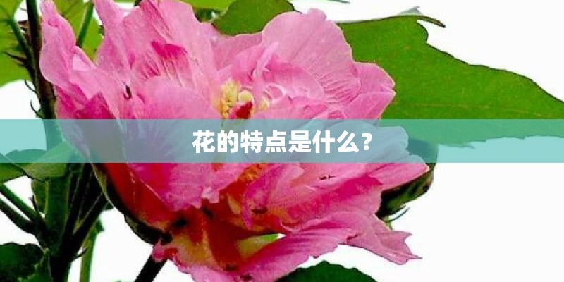 冶力关冬季旅游指南周边游冶力关