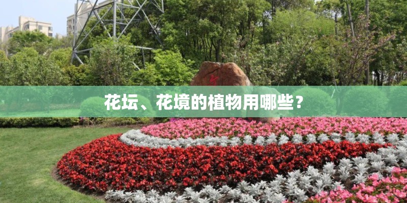 花坛、花境的植物用哪些？