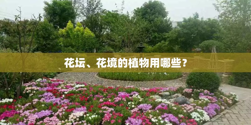 花坛、花境的植物用哪些？
