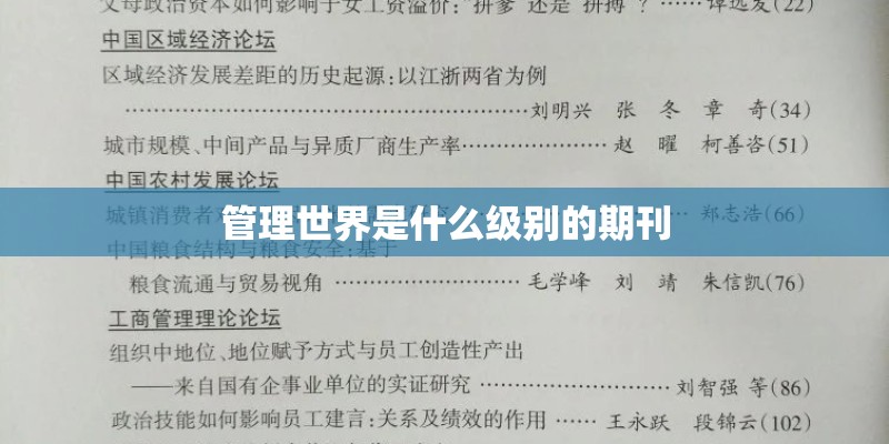 管理世界是什么级别的期刊