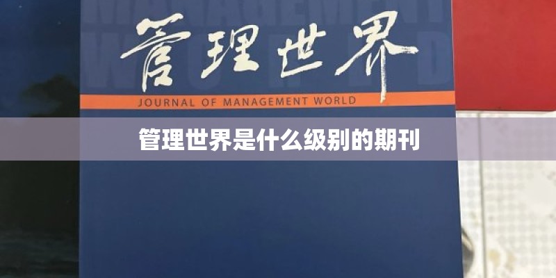 管理世界是什么级别的期刊