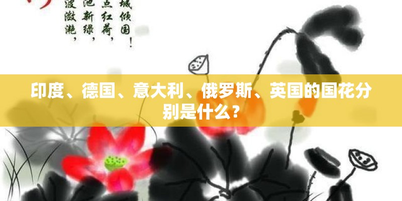 印度、德国、意大利、俄罗斯、英国的国花分别是什么？