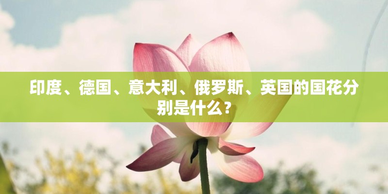 印度、德国、意大利、俄罗斯、英国的国花分别是什么？