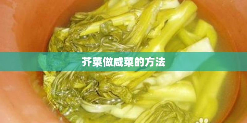 芥菜做咸菜的方法