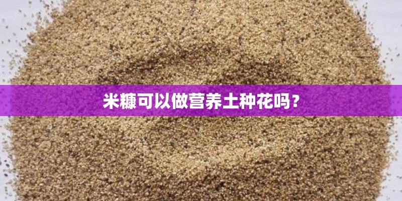 米糠可以做营养土种花吗? 米糠可以做营养土种花吗?