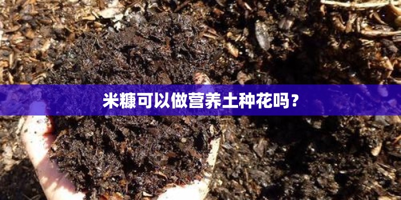 芥菜做咸菜的方法